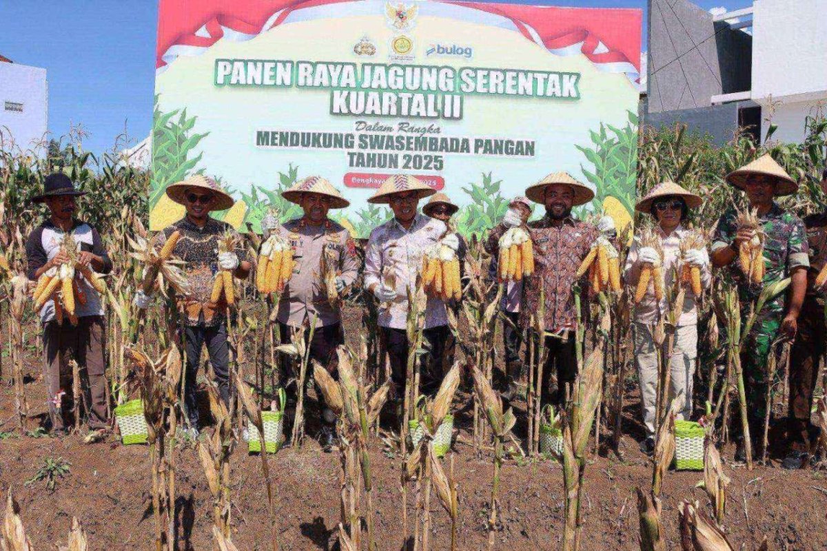 Kapolres Batu, AKBP Andi Bersama Forkopimda Kota Batu Panen Raya Jagung Serentak Kuartal II