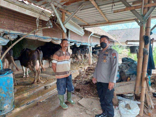 Cegah Wabah PMK, Polres Batu Melalui Bhabinkamtibmas Ikut Awasi Peternakan