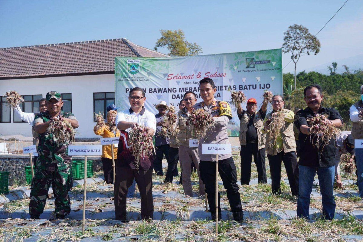 Pj. Wali Kota Batu Aries Panen Bawang Merah Varietas Batu Ijo dan Ikan Nila, untuk Ketahanan Pangan dan Pengendalian Inflasi