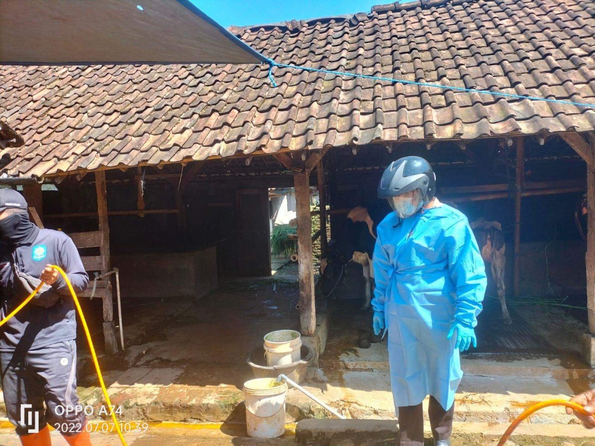 Polsek Ngantang Bersama KUD Sumber Makmur, Lakukan Penyemprotan Disinfektan Kandang Hewan Ternak