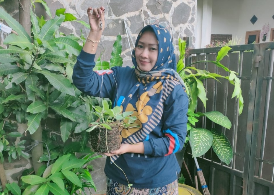 Warga Suka Bercocok Tanam, Penjualan Cocopead Saat Pandemi Terdongkrak