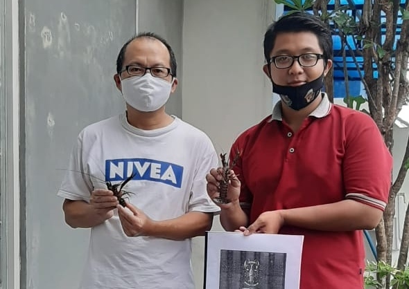 Bangkit Kala Pandemi, Hendra Ajak Budidaya Lobster