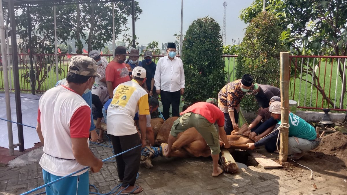 Tergerak Santuni Warga Isoman, DPC PDIP Kabupaten Malang Bagikan Daging Kurban