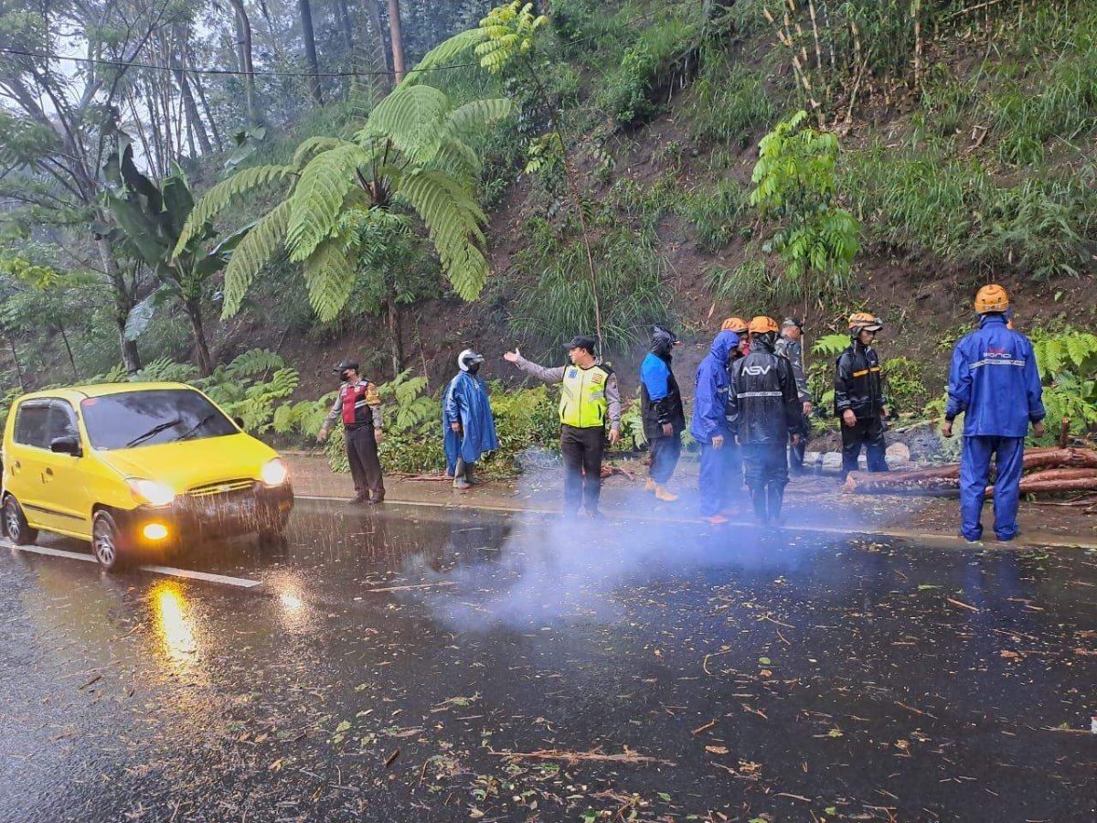 Gerak Cepat, Polres Batu Bersama TNI dan BPBD Evakuasi Pohon Tumbang di Payung 3