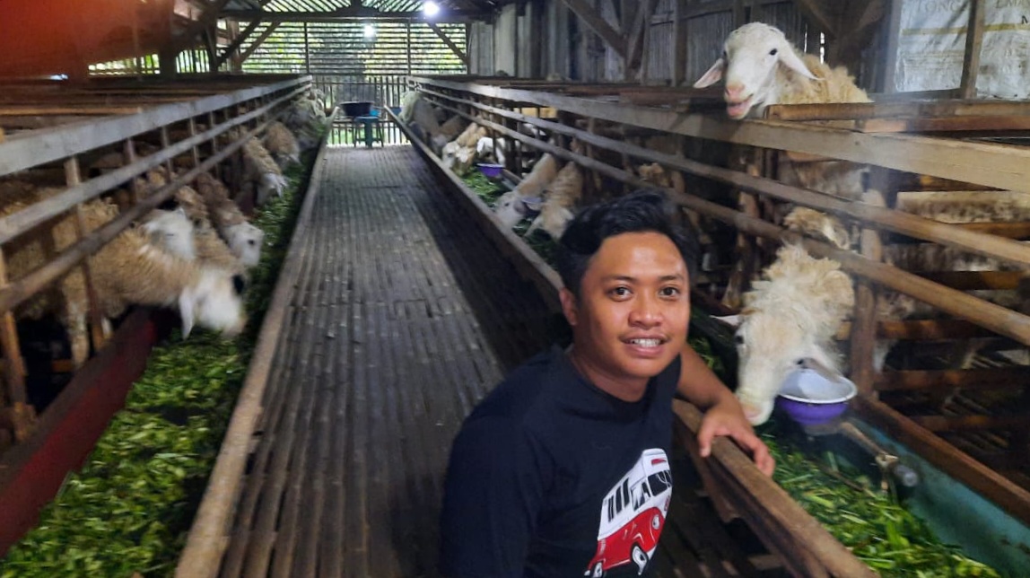 Vando Millenial Bantur, Sukses Budidaya Domba Saat Pandemi