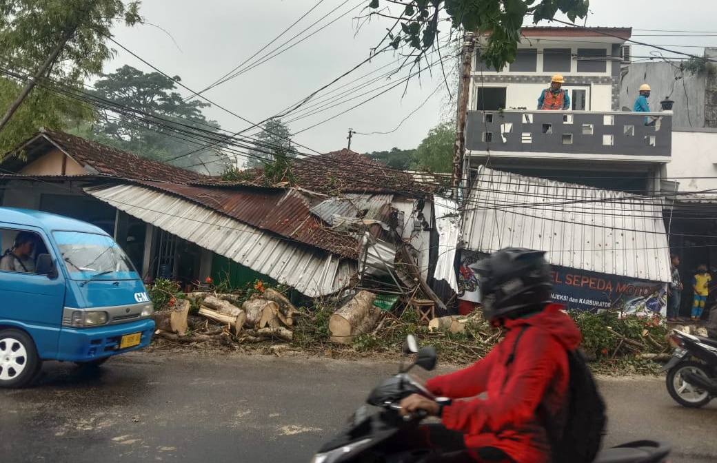 6 Pohon Roboh, 3 Rumah dan Pengendara Motor Jadi Korban Hujan Angin Kencang