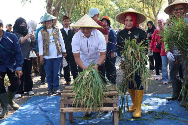 Panen Raya Padi di Desa Pendem, Pj. Wali Kota Aries: Petani Adalah Pahlawan di Bidang Pangan