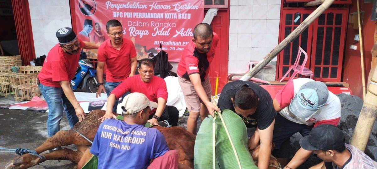 Peringati Hari Raya Idul Adha 1444 Hijriyah, DPC PDI Perjuangan Kota Batu Sembelih Sapi dan Kambing